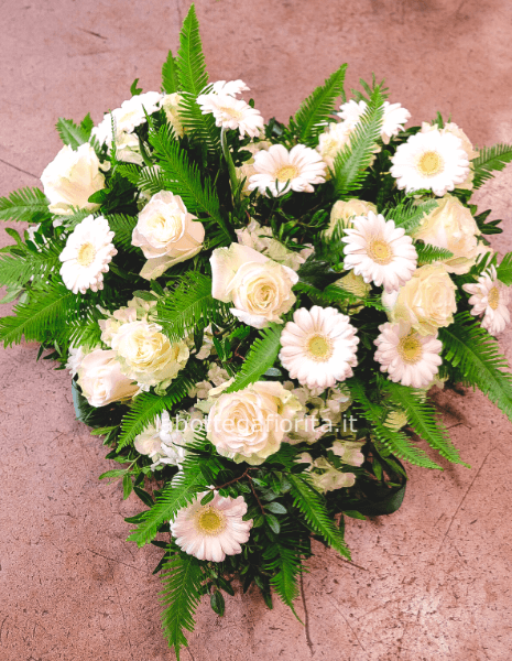 Cuore Amanda Medium