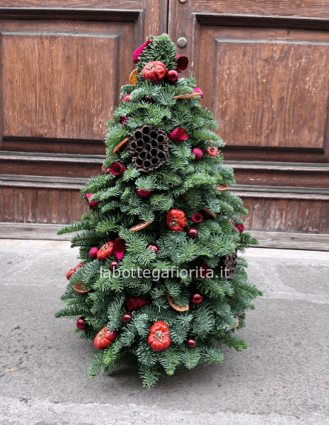 Pinetto Adelaide Piccolo