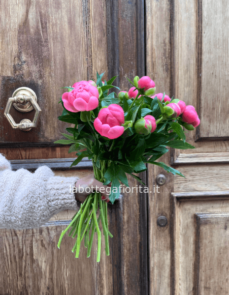 Mazzo di 5 Peonie