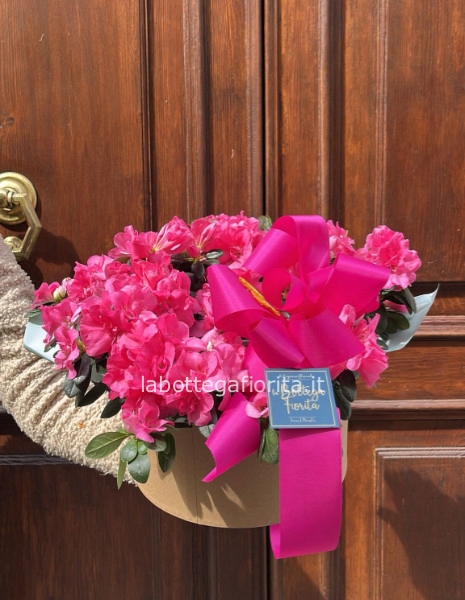 Cappelliera di Azalee