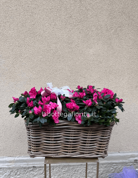 Cesto di Azalee