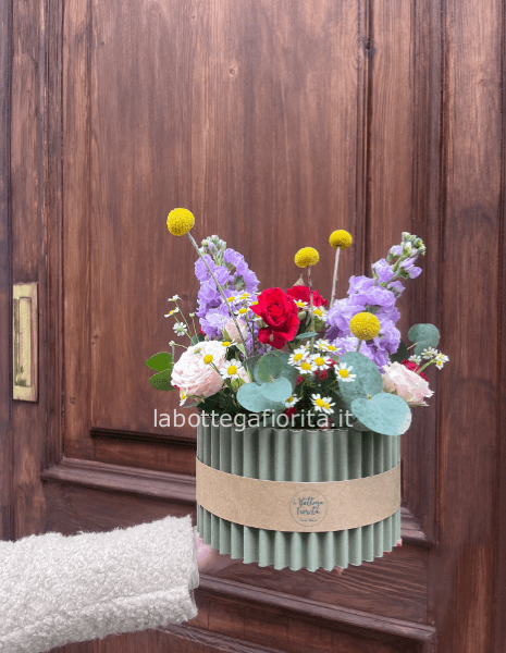 Scatola Primavera