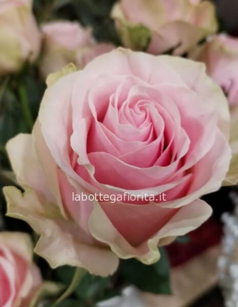 mazzo di rose rosa