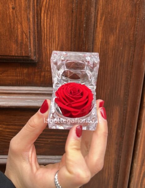 RosaAmour Stabilizzata